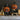 Dancing Pumpkin Jack-O-Lantern Pumpkin Heads