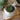 Ceramic Rabbit Bunny Succulent Planter Pot Bowl