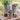 Tall Galvanized Metal Garden Pails Buckets Vase